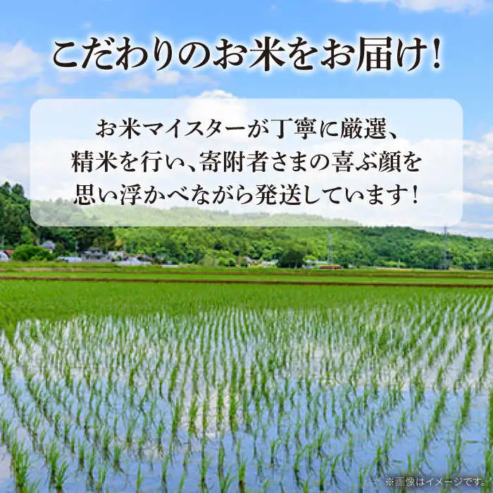 ヒノヒカリ 10kg×3回 定期便 / ひのひかり 米 お米 こめ コメ 精米 / 南島原市 / 林田米穀店 [SCO006]