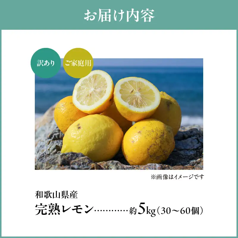 【2027年先行予約】【訳あり・ご家庭用】完熟 レモン 5kg 皮まで使用可能（栽培期間中農薬不使用）_EA6023n