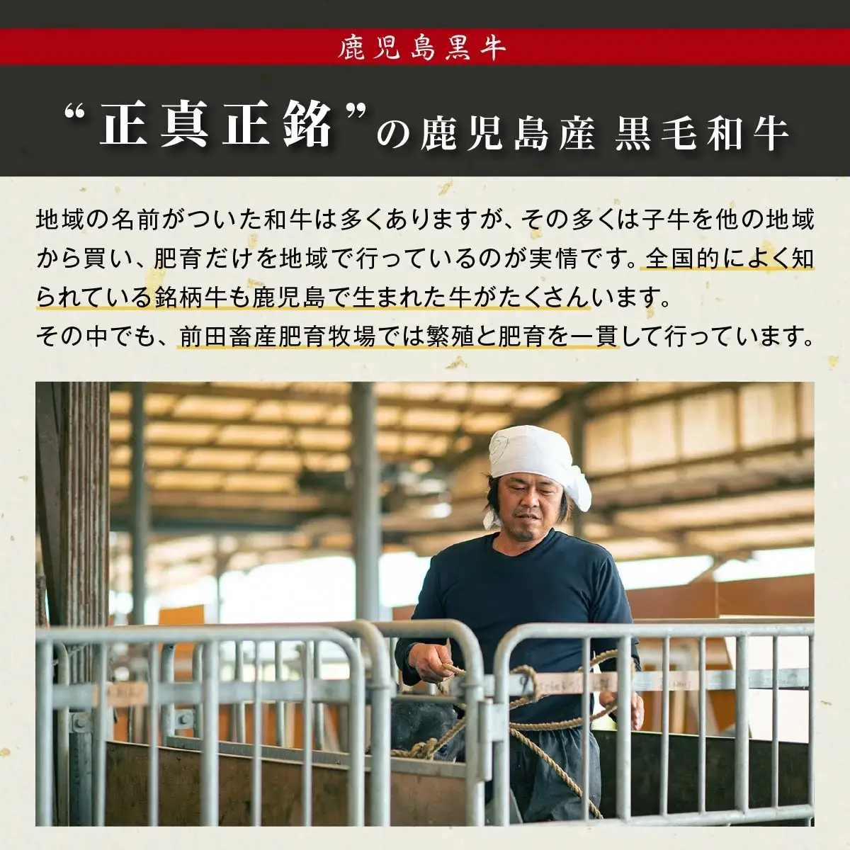 《前田牧場直営》 鹿児島黒牛 ～ランプ肉（モモ）ブロック（約500g）～ | 鹿児島黒牛