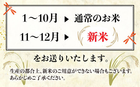 【全12回（月2回）定期便】栽培期間中 農薬不使用のお米 ヒノヒカリ 5kg 糸島市 / シーブ [AHC058]