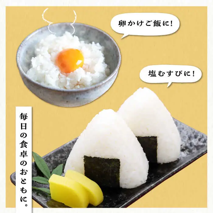  糸島産 夢つくし 10kg 糸島市 / 三島商店 [AIM002] 米 白米