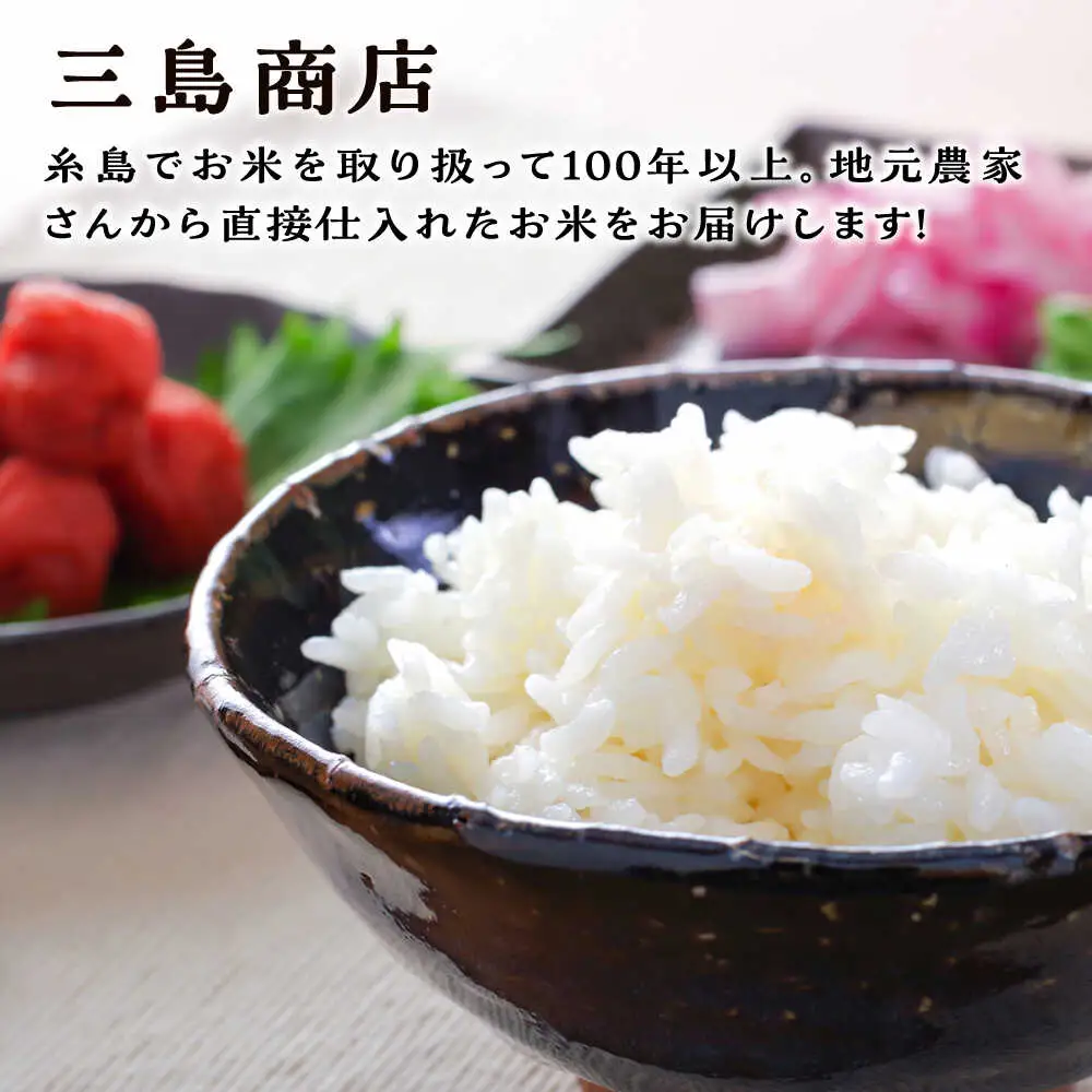 【お中元対象】 糸島産 ひのひかり 10kg 糸島市 / 三島商店 [AIM004] 米 白米