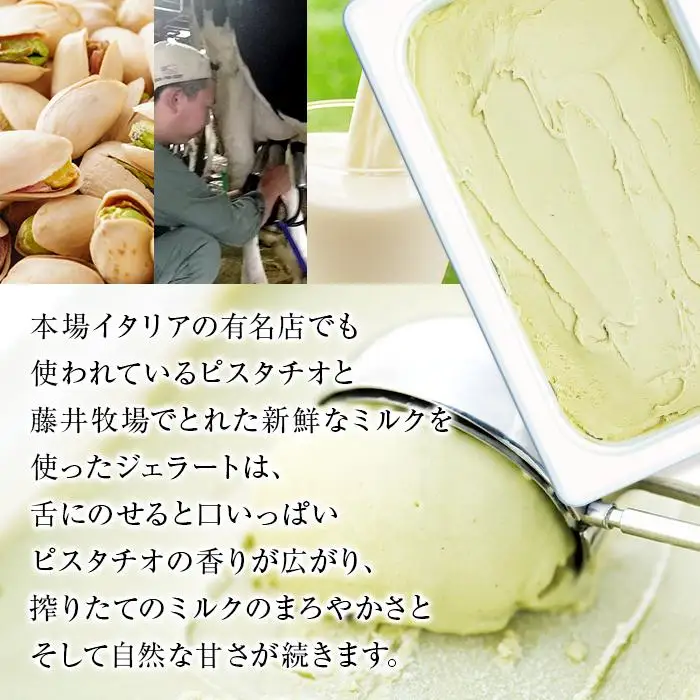 【訳あり】イタリア ピスタチオ ジェラート 1.25リットル