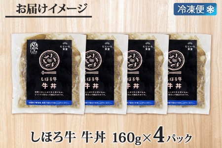 北海道 しほろ牛 牛丼の具 160g×4パック セット 牛丼 牛肉 国産牛 玉ねぎ ゴボウ 丼 冷凍 時短 簡単 便利 おかず 温めるだけ 道の駅 ピア21しほろ 送料無料 十勝 士幌町 【L45】