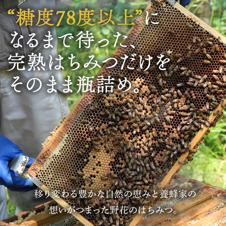 【ふるなびWEEK対象】はちみつ 百花 プラボトル 300g 2本 (374)