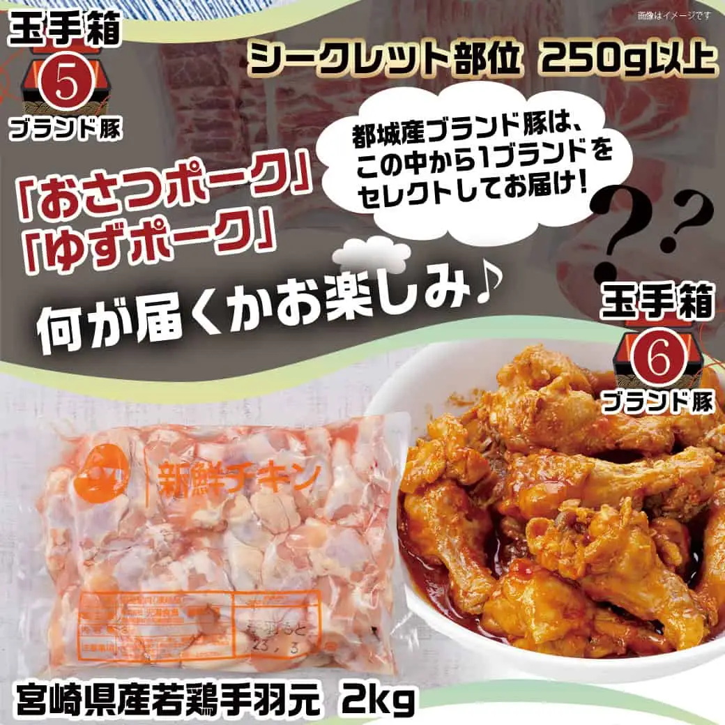 ブランドはお任せ★全部真空パック!KURIYAMAの玉手箱3.65kgセット〔MJ-1421〕_(都城市) 都城産ブランド豚 おさつポーク ゆずポーク お任せ ロース 肩ロース モモ スライス 小間切れ ミンチ 真空パック 宮崎県産若鶏 手羽元