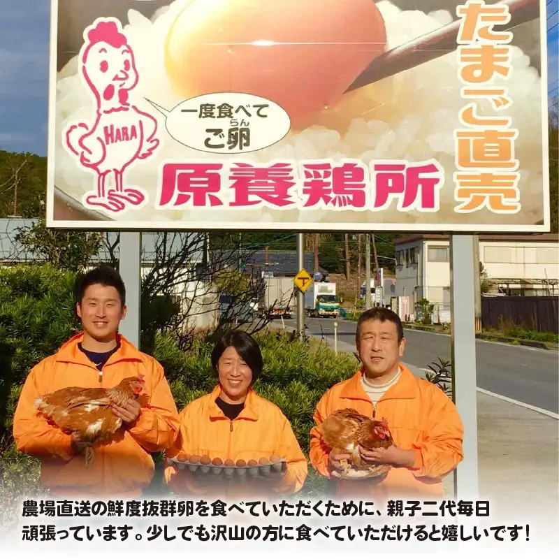 鮮度抜群！農場直送「卵」50個（45個 ＋ 卵割れ補償 5個）