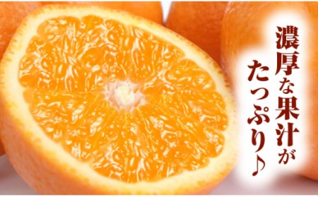 田村産清見オレンジ[約4.5kg]湯浅町田村産春みかん(果実サイズおまかせ)/紀伊国屋文左衛門本舗　※2027年3月中旬～4月下旬頃発送予定【ntb492A】