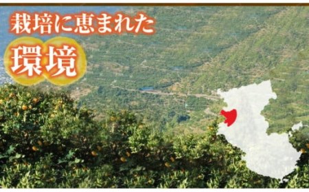 田村産「デコ」不知火[約2.8kg]湯浅町田村産春みかん(果実サイズおまかせ)/紀伊国屋文左衛門本舗　※2027年2月中旬～3月下旬頃に順次発送予定(お届け日指定不可)【ntb493B】