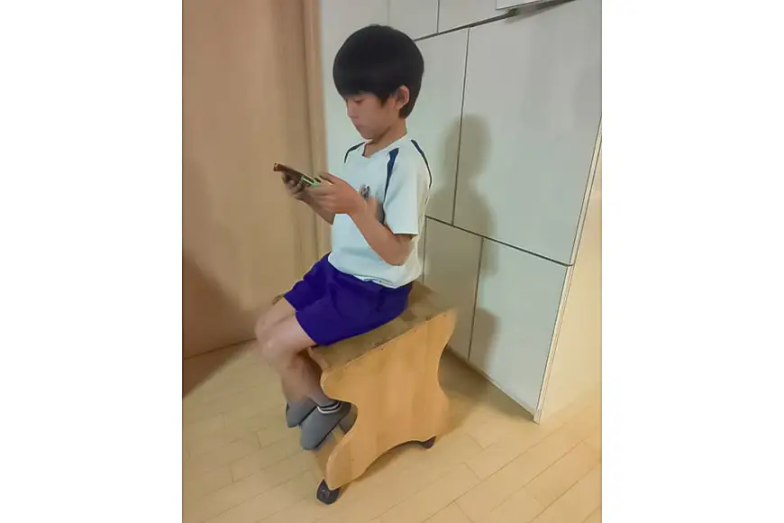 椅子 姿勢 椅子 姿勢調整 座具 座王 高さ51cm×幅43cm