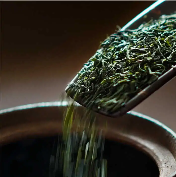 【全6回定期便】日本茶アワード受賞 玉緑茶 「心茶 鬼木みどり」 3本セット【原田製茶】 [GA22] 