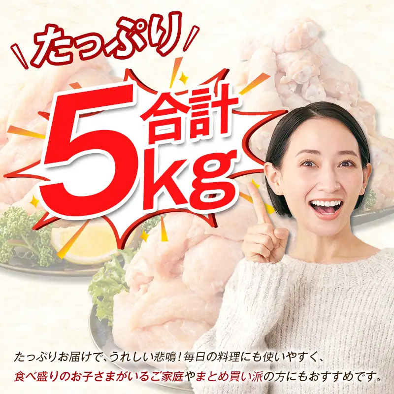 宮崎県産 若鶏5kgセット 鳥肉 もも肉 1kg むね肉 2kg ささみ 1kg 手羽元1kg【B320-2604】