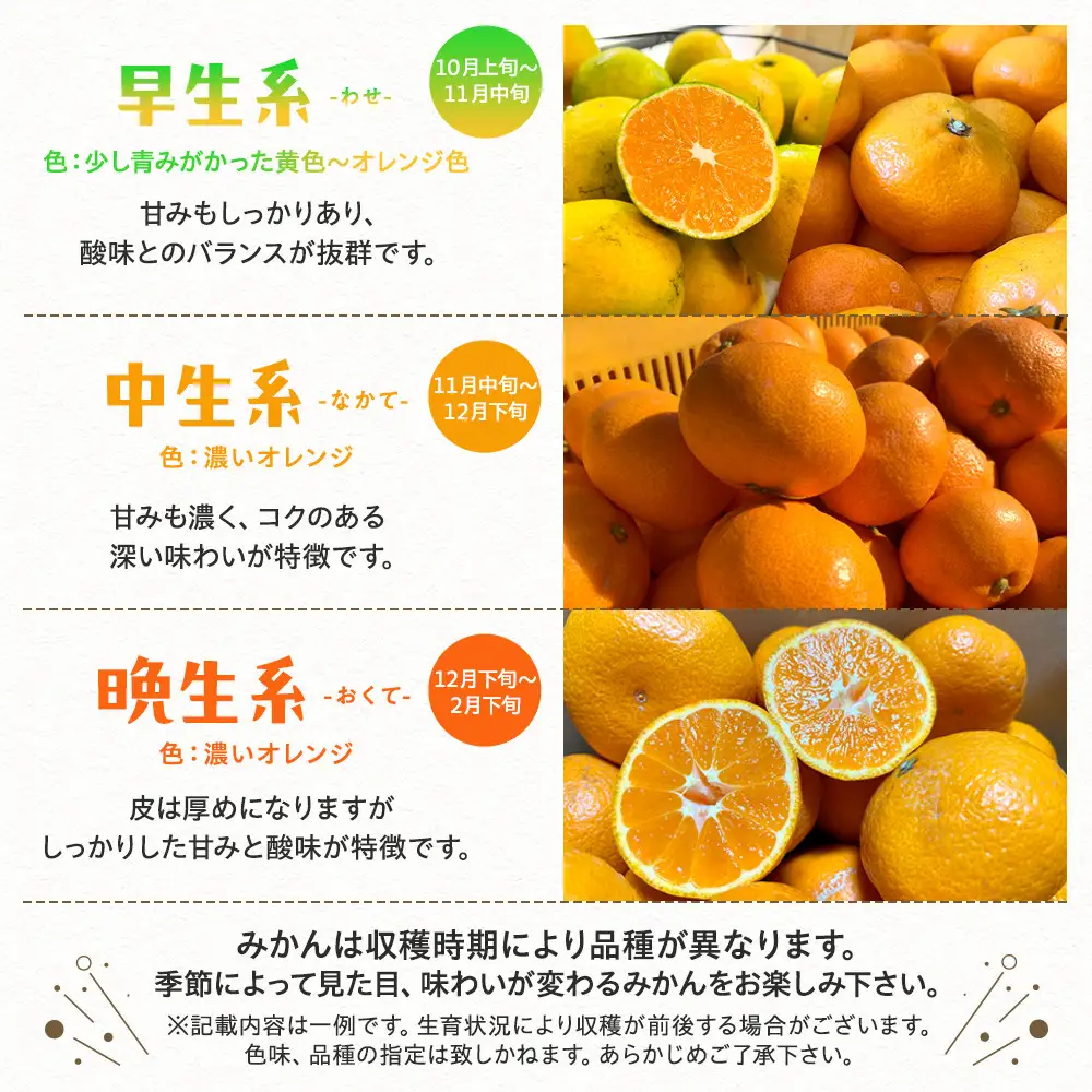 ご家庭用 完熟 有田みかん 3kg［2026年11月発送予定］訳あり［MS3-1］｜みかん