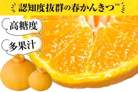 田村産「デコ」不知火[約2.8kg]湯浅町田村産春みかん(果実サイズおまかせ)/紀伊国屋文左衛門本舗　※2027年2月中旬～3月下旬頃に順次発送予定(お届け日指定不可)【kztb493B】
