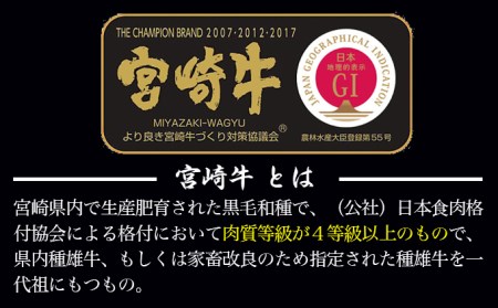 牛肉 宮崎牛 A4 A5 等級 牛肩 焼肉 400g