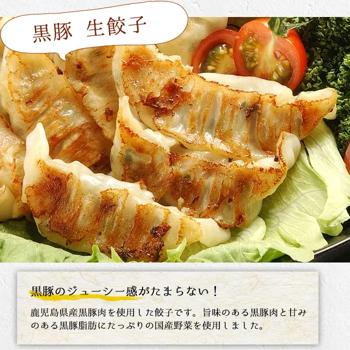 黒豚 餃子 144個 生姜風味 鹿児島 餃子【00-008-03】