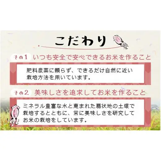 【訳あり】ほたるいか米（玄米30kg）×3回 計90kg【3ヶ月定期便】 [J-021001]