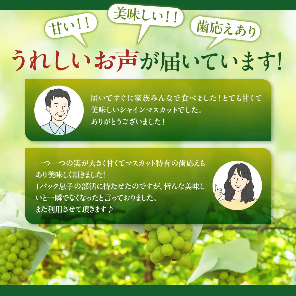 高野農園　長野市松代産 訳ありシャインマスカット 約1kg（バラ房） |シャインマスカット