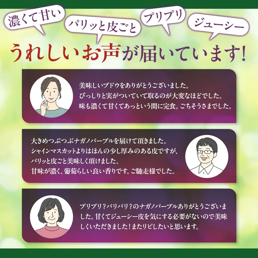 高野農園　ぶどう  訳あり 長野市松代産 ナガノパープル 約1kg バラ房 果物 ブドウ 葡萄 フルーツ デザート おやつ 種なし TAKANO農園 信州 | ぶどう