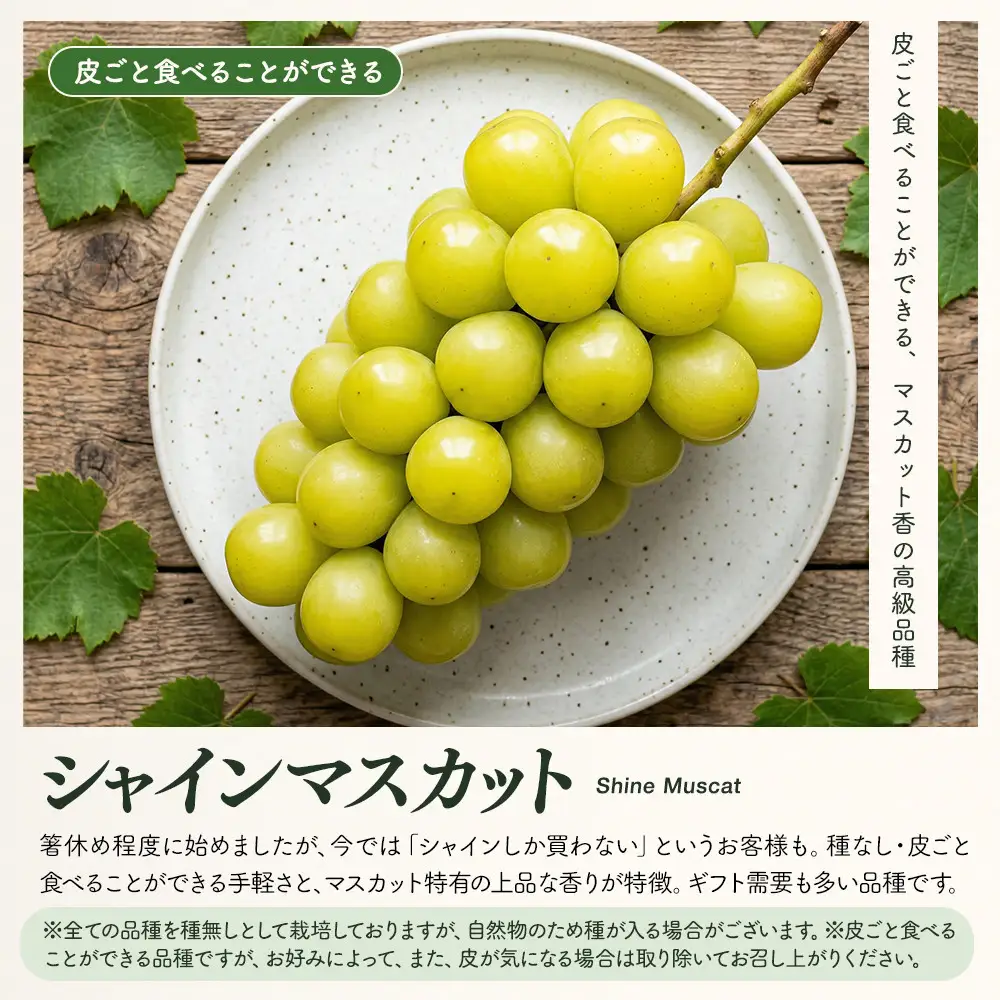 ★ 紅玉屋 長野市産大粒シャインマスカット1房（約450g～800g）【2026年9月上旬頃より順次発送】  |シャインマスカット ぶどう フルーツ