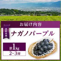 金オ岡村青果株式会社 長野市産 ナガノパープル1kg【2026年9月以降出荷分】果物 くだもの フルーツ デザート 種無し 大粒 旬 長野市 | ぶどう ぶどう