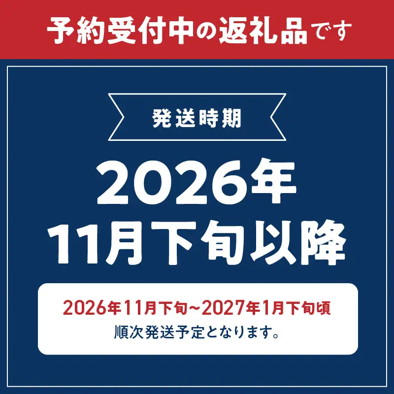 【2026年11月下旬頃より発送】完熟 有田みかん 10kg_G7047