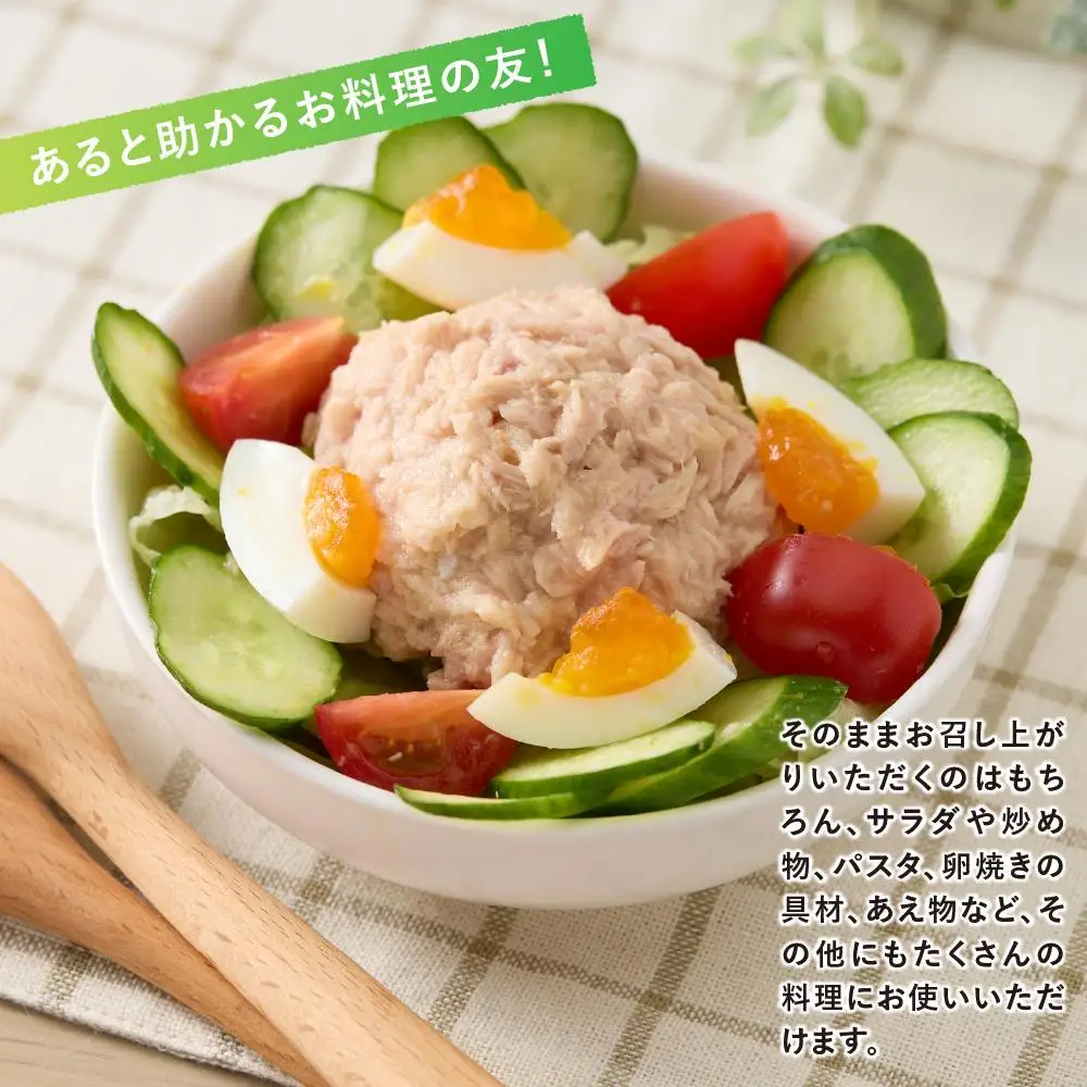 ツナ缶 オイル不使用 シーチキン Lフレーク 24個 はごろもフーズ ノンオイル まぐろ 鮪 水煮  静岡 加工食品 サラダ