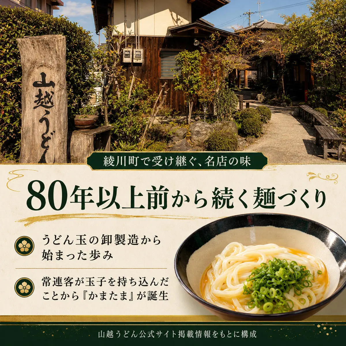 讃岐うどん 山越うどん 生うどん だし付 釜玉 讃岐うどん【10食】