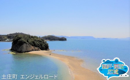 「瀬戸・たかまつネットワーク」貸切クルーザーで巡る香川県（直島・豊島方面）2日間 チケット 旅行券 観光 