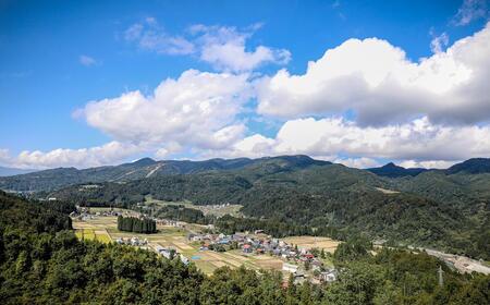 【令和8年産】【12ヶ月定期便】10kg(10kg×1袋) 県認証 魚沼産新之助 |津南町 コシヒカリ 定期便