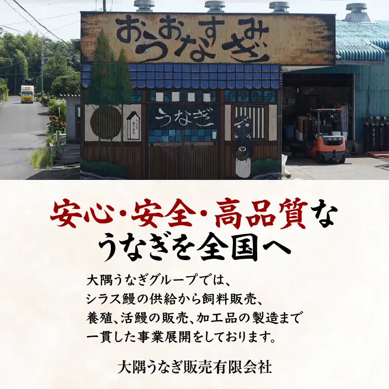  1774-3 うなぎ問屋 の 備長炭手焼 うなぎ蒲焼 4尾 （600g） KN029-001-04 魚 冷凍 鰻