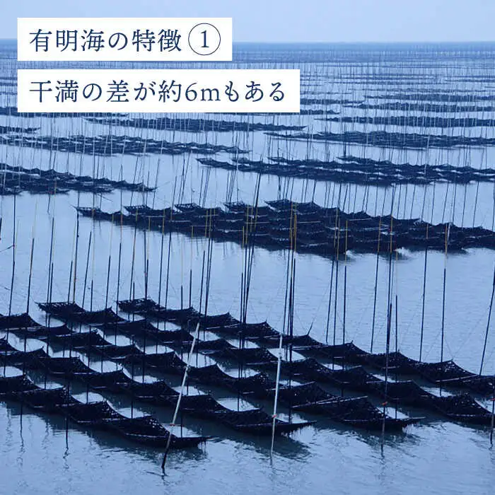 【全6回定期便】プレミアム佐賀海苔 味付け海苔 5袋詰(10切50枚) のり 味のり 海苔[FBC023]