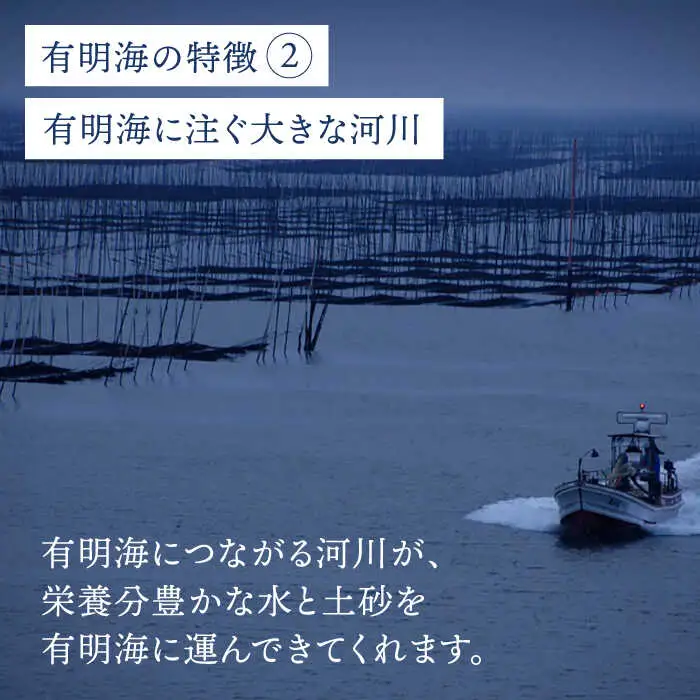 【全3回定期便】佐賀県産 塩海苔ボトル2本（10切40枚）セット[FBC038]