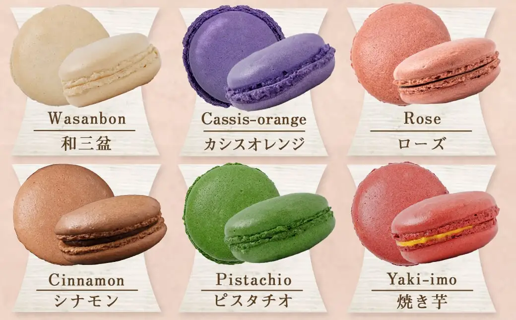 静マカロン缶～選べる8個セット～〔LG-C202〕_(都城市) 日向夏 マンゴー いちご ショコラ バイオ茶 黒ごま ラムレーズン コーヒー 塩キャラメル ショコラフランボワーズ さくら レモン 和三盆 カシスオレンジ ローズ シナモン ピスタチオ 焼き芋「絵本作家たなかしんさん」ネコとリス缶 贈答用 