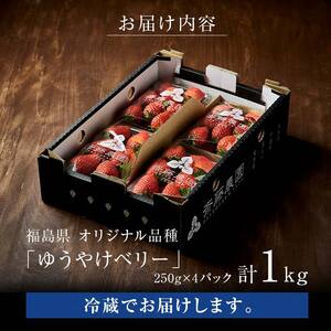 ＜2027年発送＞＜限定＞新品種のいちご 福島県 オリジナル品種「ゆうやけベリー」約1kg（250g×4パック）イチゴ 苺 フルーツ 果物 伊達市 F20C-678