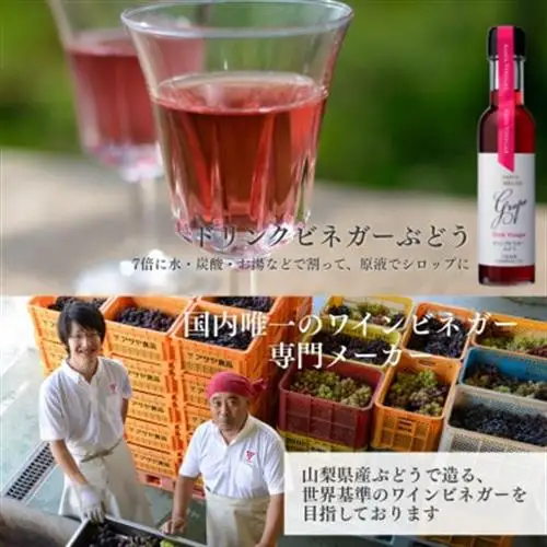 【蔵元直送】プロ御用達!ワインビネガー・バラエティ5本セット～調味料＆飲む酢～ 世界農業遺産認定地域【1115097】