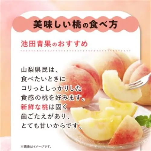 【2027年(来年)発送】 桃 約2kg (5玉~8玉) 厳選 ! 池田青果の もも【配送不可地域：離島・沖縄県】【1280520】