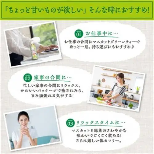 マスカットグリーンティー 500ml 24本 計12L サーフビバレッジ【1292304】