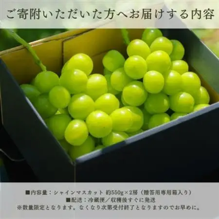 【2026年発送】シャインマスカット 2房 1.1kg以上 山梨県 山梨市産【配送不可地域：離島】【1364649】