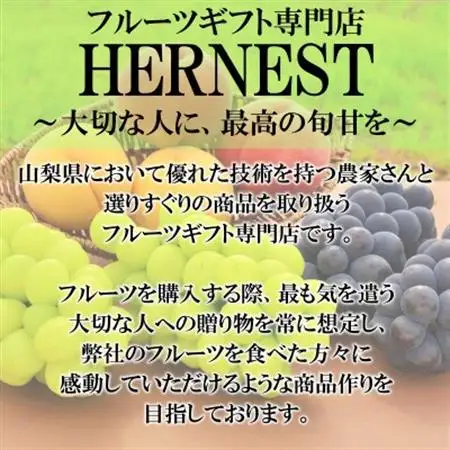 【2026年発送】山梨県山梨市産　特選　旬の採れたてシャインマスカット約1.2kg　2～3房【配送不可地域：離島】【1365848】