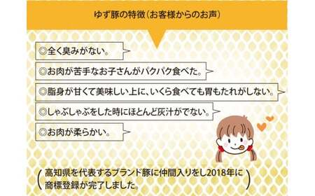 【高知のブランド豚/ゆず豚】脂身が甘いジューシーとんかつ4枚入り＆ソーセージ2P（約1kg）