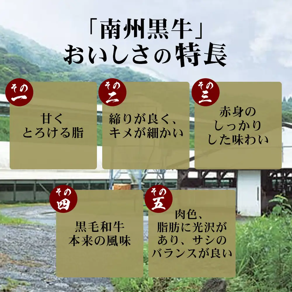 【鹿児島県産！南州黒牛】霜降りロースステーキ 約600g （300g×2枚）NS-514 | 国産 牛 黒毛和牛 牛ロース肉 オリジナルブランド牛 うし 牛肉 ロース サシ やわらかい 冷凍 ステーキ 鹿児島県 南大隅町 南州農場