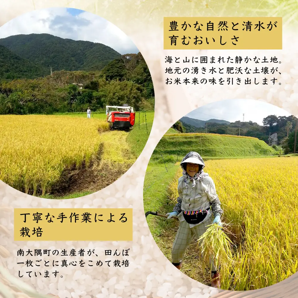 お米 ≪令和7年産≫ ひのひかり 米 5kg 南大隅町 辺塚産 AL7602 ｜鹿児島県 南大隅 白米 こめ コメ 5キロ ご飯 大自然のお米 国産 産地直送 