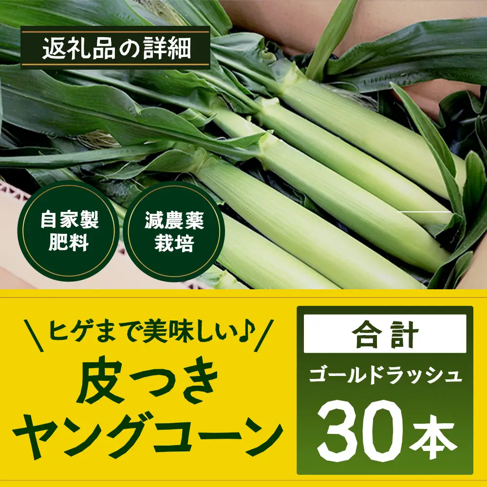 【数量限定】 【2027年5月先行予約】ヒゲまで美味しい！「皮つき ヤングコーン 約30本」 FR-520 ｜2027年 先行予約 限定 レシピ付き ゴールドラッシュ ベビーコーン 朝採れ グリル 天ぷら 味覚 新鮮 産地直送 皮付き 野菜 旬 本土最南端 鹿児島県 南大隅町 株式会社フォレスト