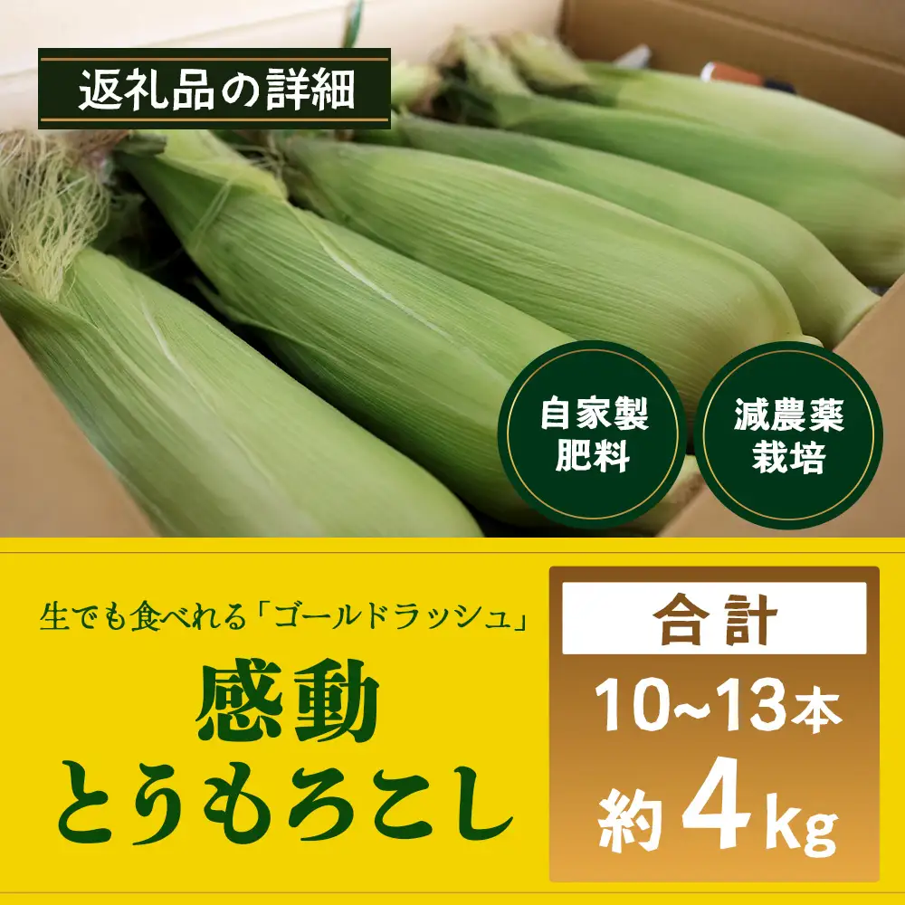 【数量限定】 【先行予約・2027年5月～】感動とうもろこし ( 約4kg / 10～13本 ) FR-521 ｜野菜 やさい とうもろこし ゴールドラッシュ トウモロコシ 生でも おいしい 大粒 新鮮 産地直送 先行予約 数量限定 4kg 減農薬 栽培 鹿児島県 南大隅町