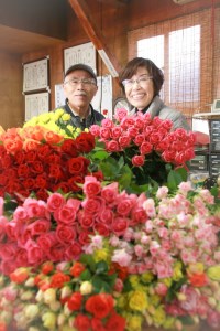 訳あり　生産農家直送！ご家庭用バラ花束35本セット 簡易包装  ※沖縄・離島への配送不可 _AL02