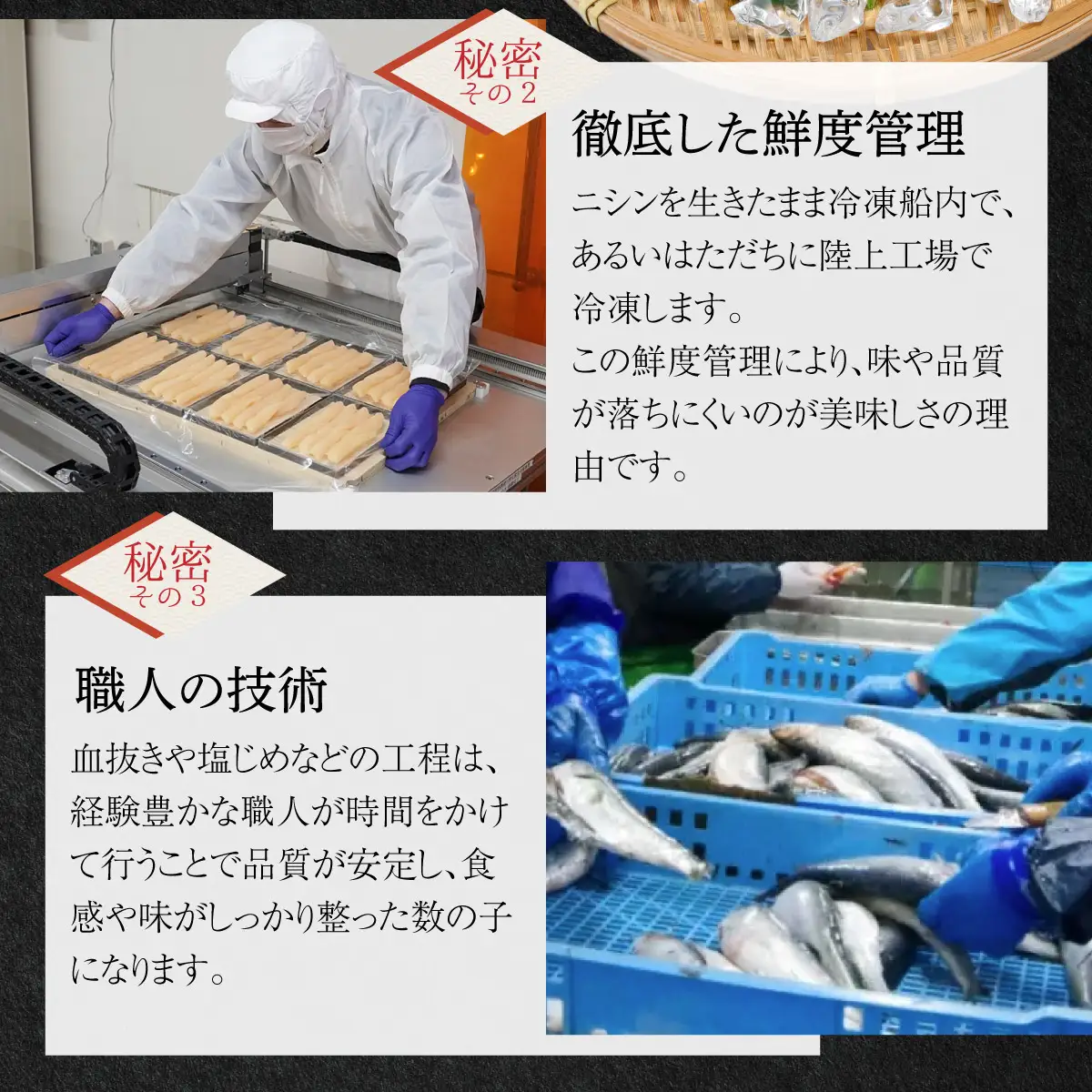 塩数の子 化粧箱入り 400g×2 F21H-504【順次発送】