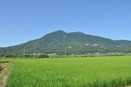 【JA茨城むつみ】ふっくらむつみごはん（茨城県産コシヒカリ使用 180g×24食） No.070