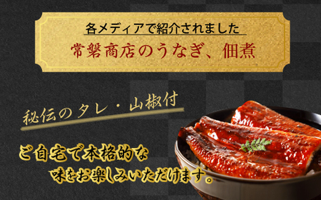 特撰 国産うなぎの蒲焼き 2尾（140g～150g×2尾）【最短3日発送】