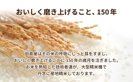 令和7年産 茨城県産 コシヒカリ 精米 合計10kg (5kg×2袋) 